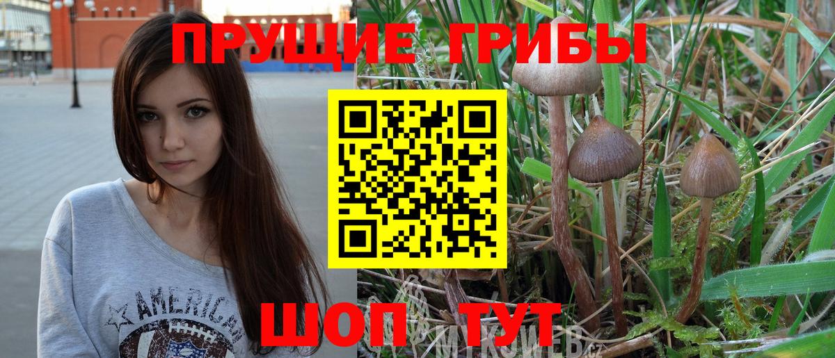 Мелеуз  Галлюциногенные грибы Magic Shrooms  Вход с VPN 